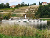 elbe_raddampfer_dresden